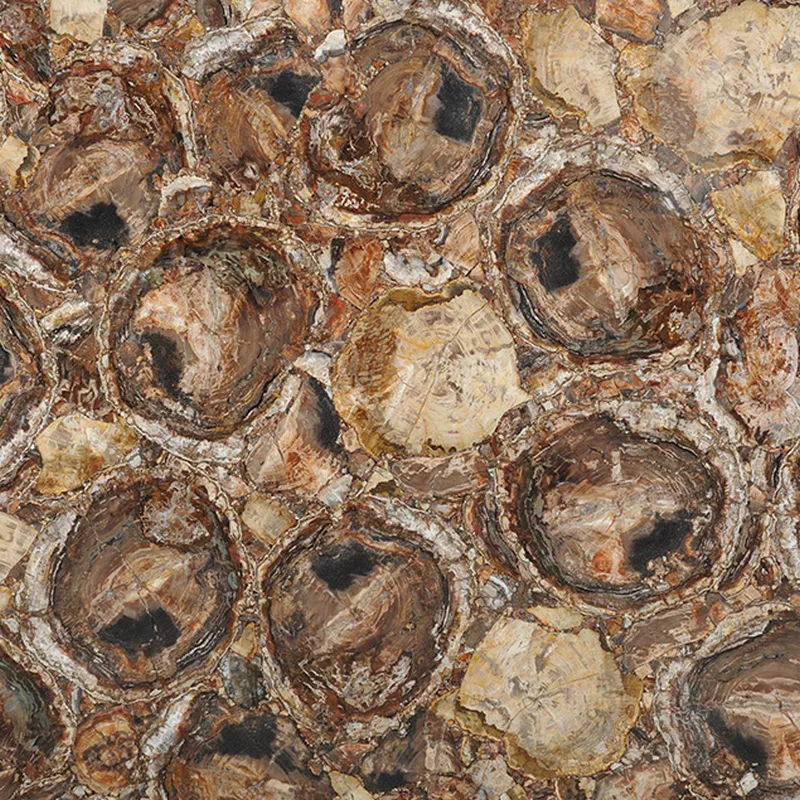 Окаменелое дерево Brown Petrified Wood