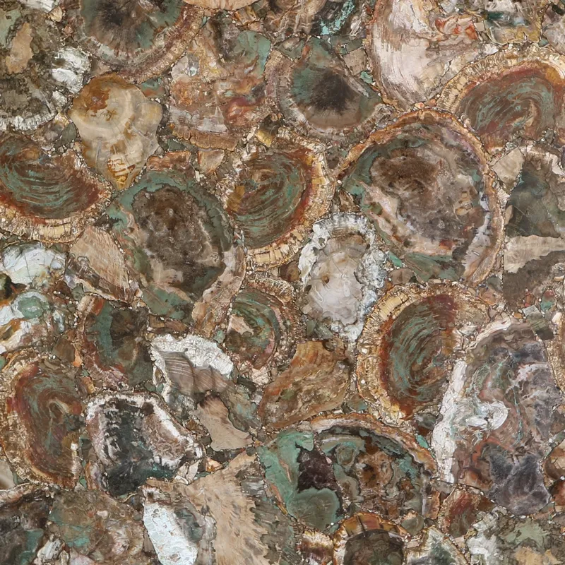 Окаменелое дерево Petrified Wood Beige-Green