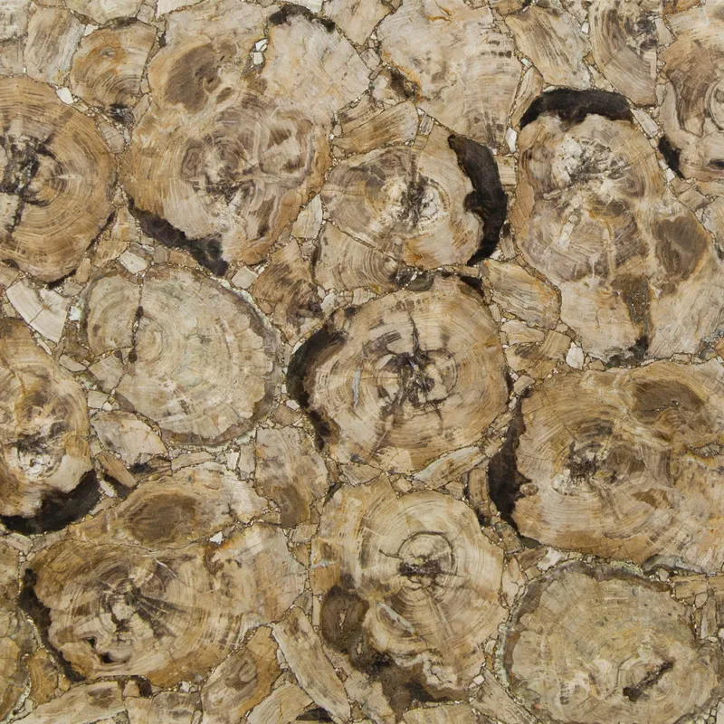 Окаменелое дерево Petrified Wood Beige