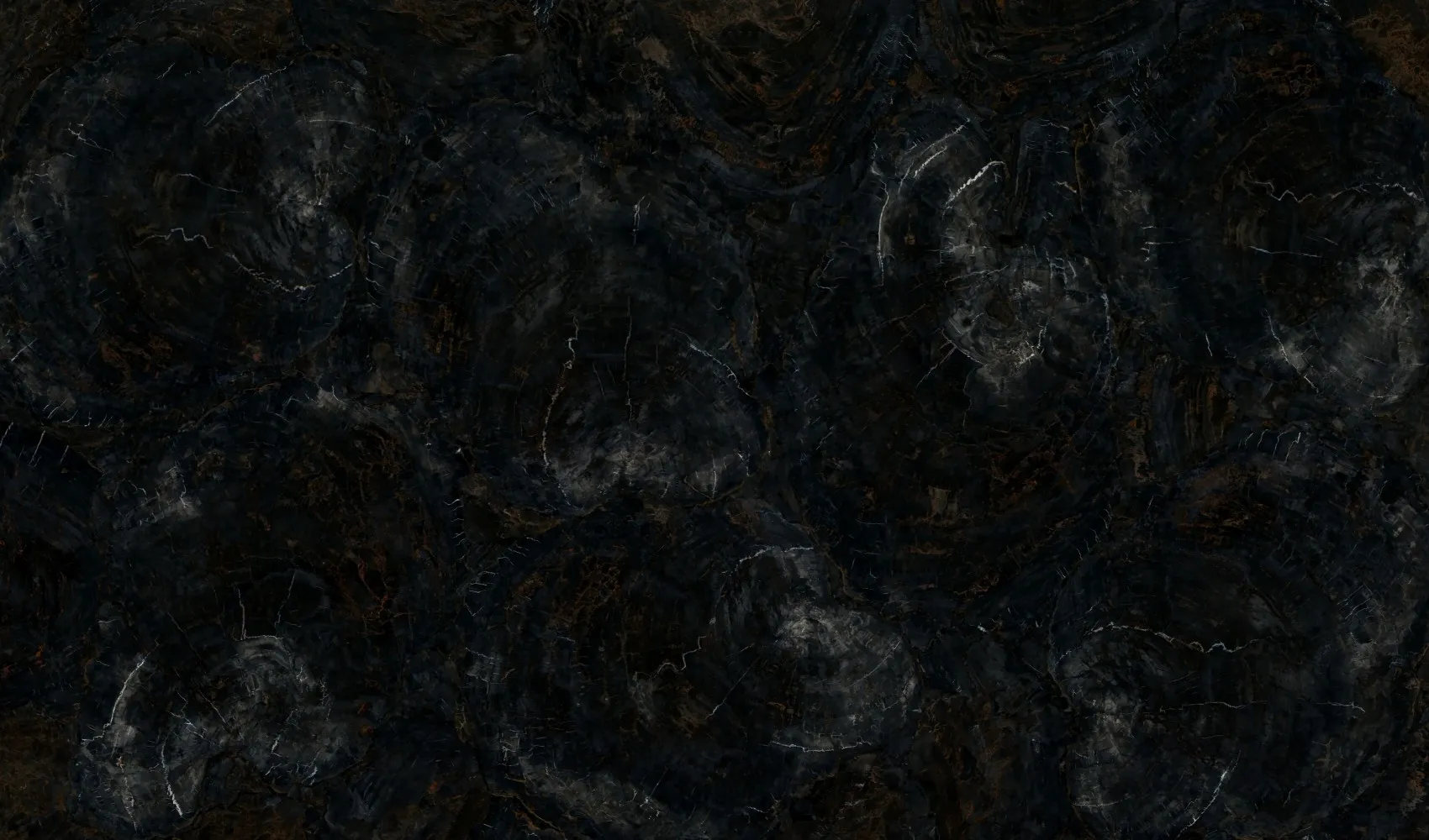 Окаменелое дерево Petrified Wood Black