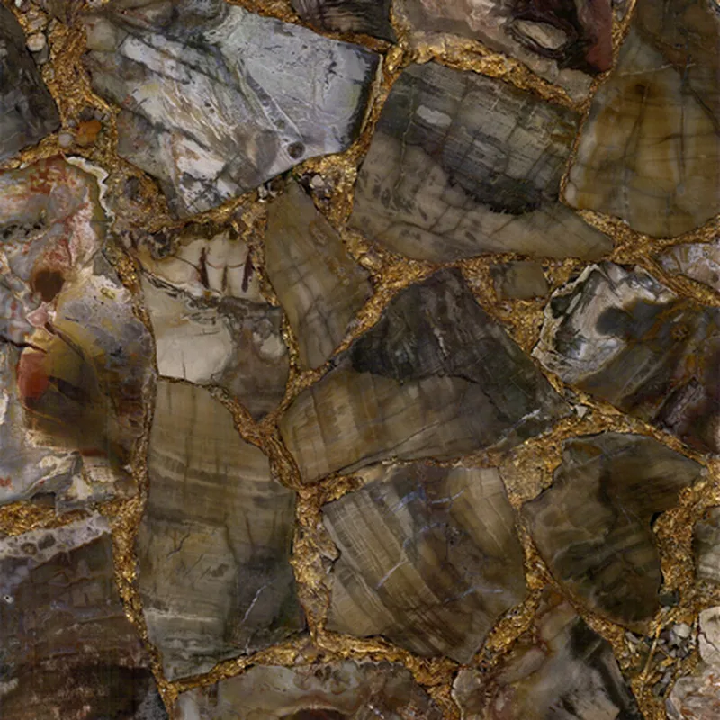 Окаменелое дерево Petrified Wood Brown Gold