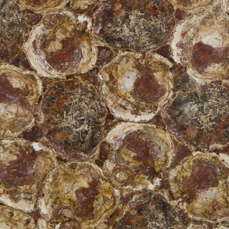 Окаменелое дерево Petrified Wood Red