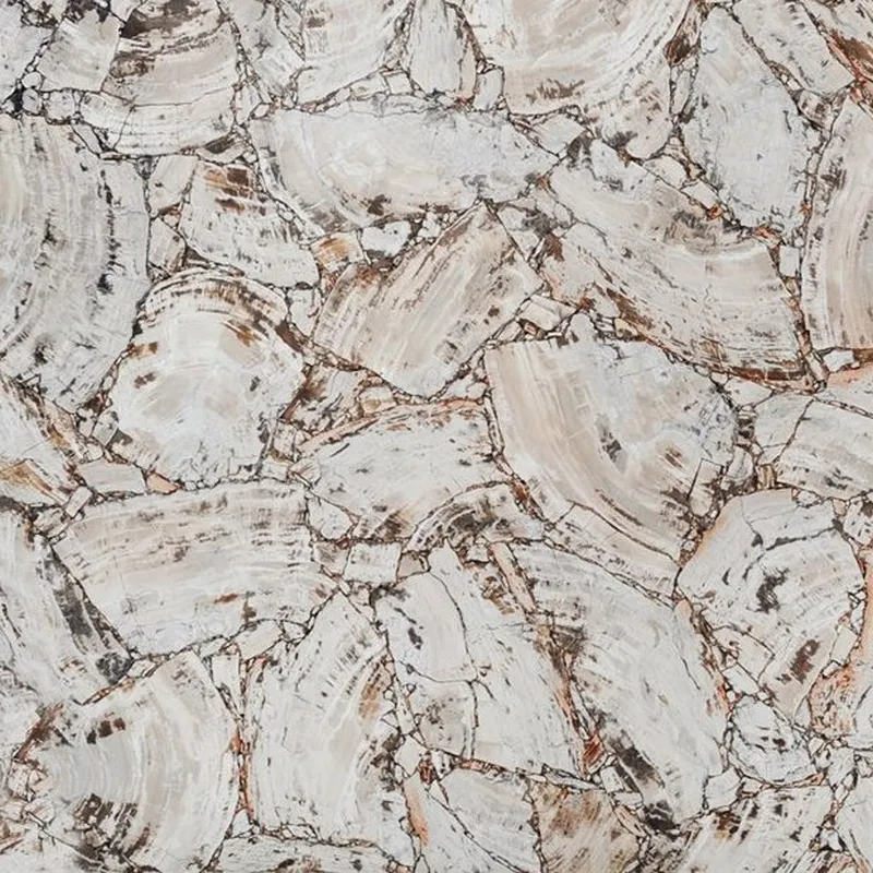 Окаменелое дерево Petrified Wood White