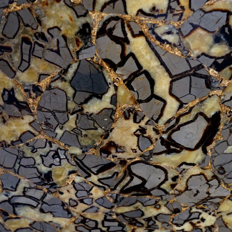 Септария Septarian With Gold